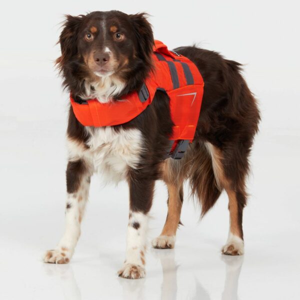 NRS CFD Dog Life Jacket - Bilde 7