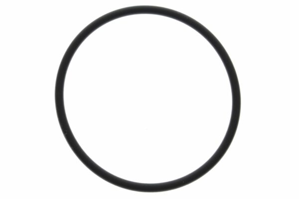 O-ring til bensinfilter 15410-92L00